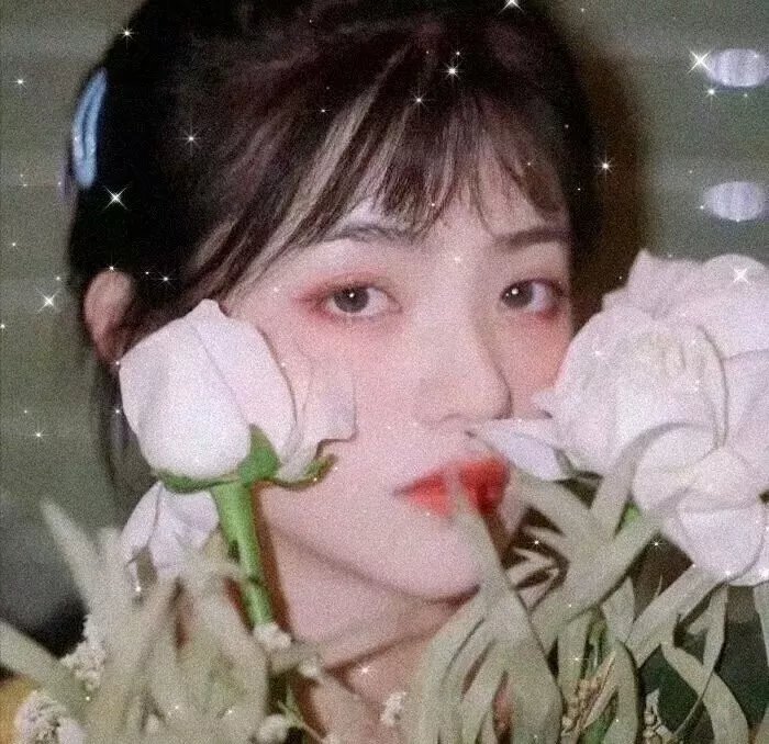万花迎春