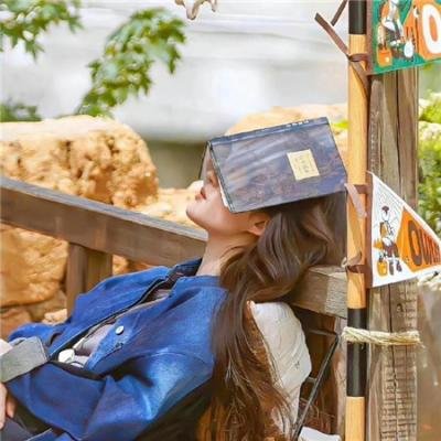 广东十虎苏灿之潜龙出世